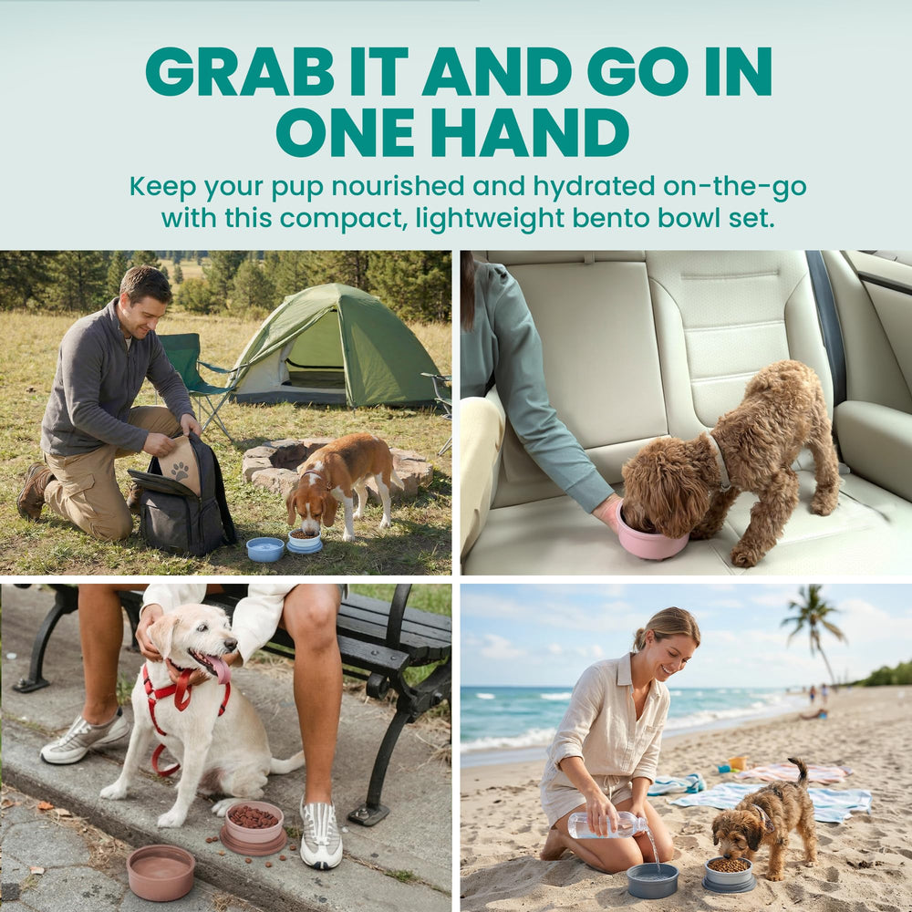 KindTail bols emboîtables et compacts, rangement facile en voyage.