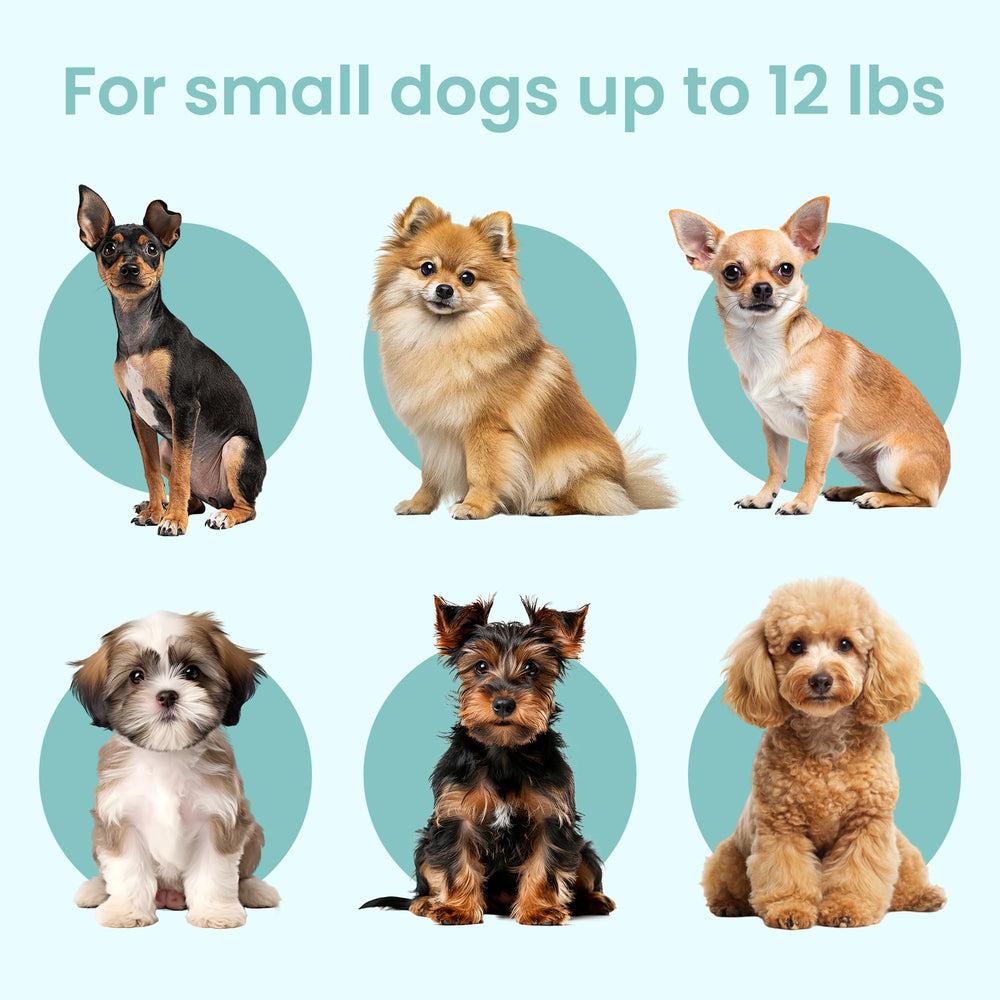 KindTail PAWD: caisse pliable avec porte ouverte pour ventilation.