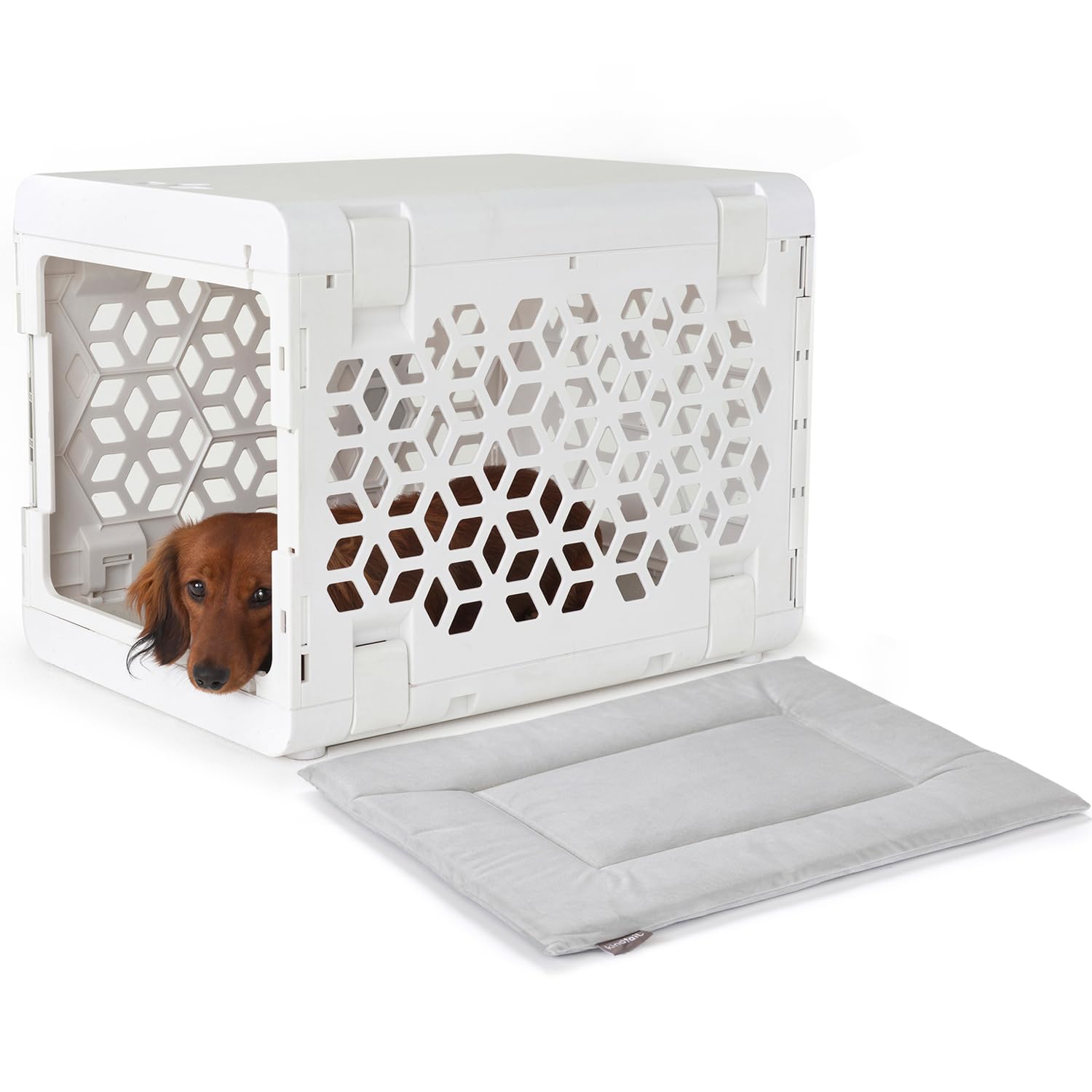 KindTail PAWD: caisse pliable vue générale, facile à ranger.