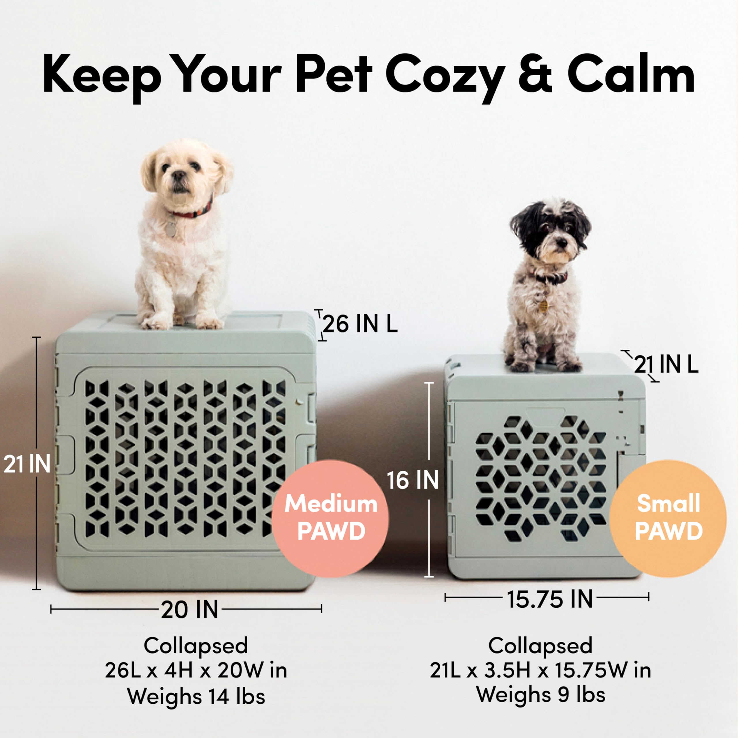 KindTail PAWD: porte sécurisée et accès pratique.