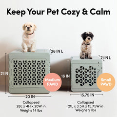 KindTail PAWD: porte sécurisée et accès pratique.