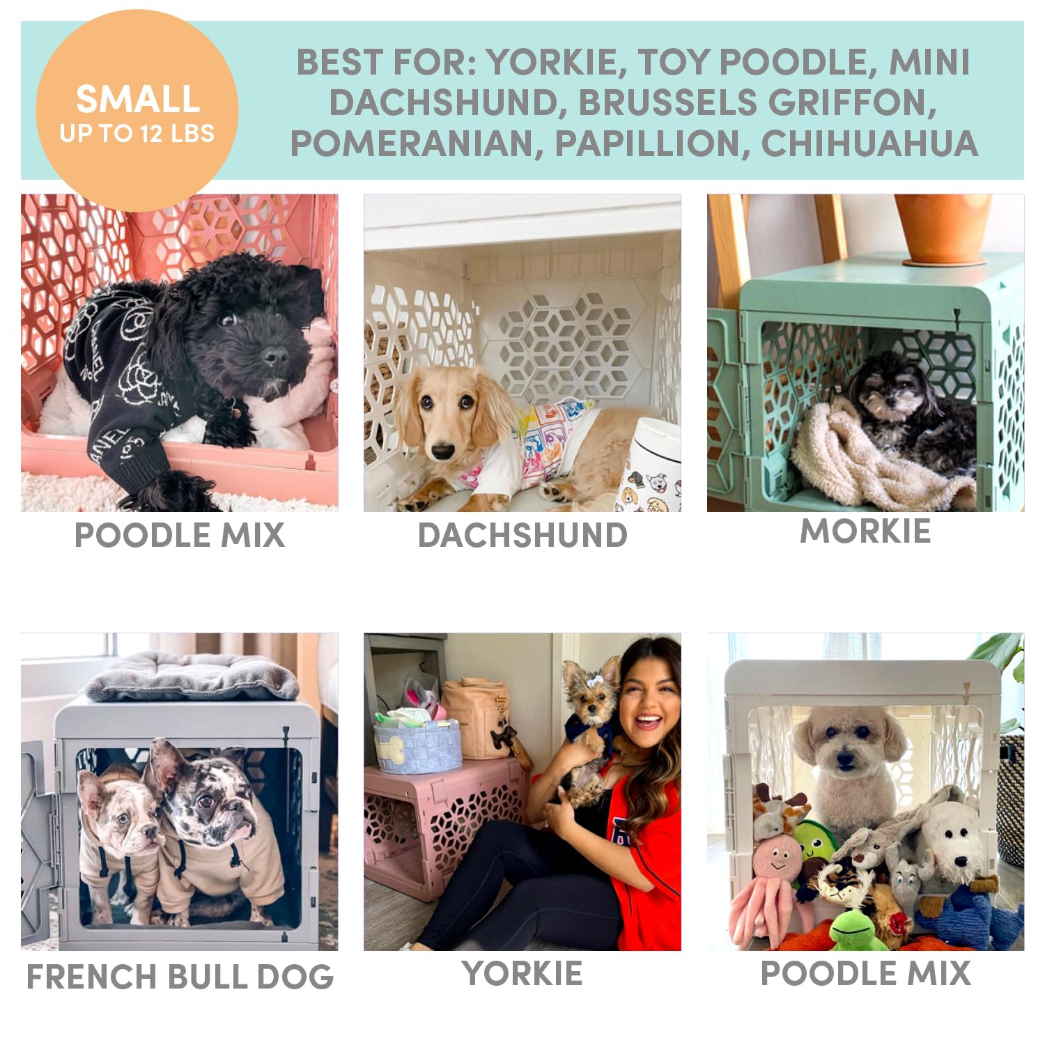 KindTail PAWD: solution portable légère pour déplacements fréquents.