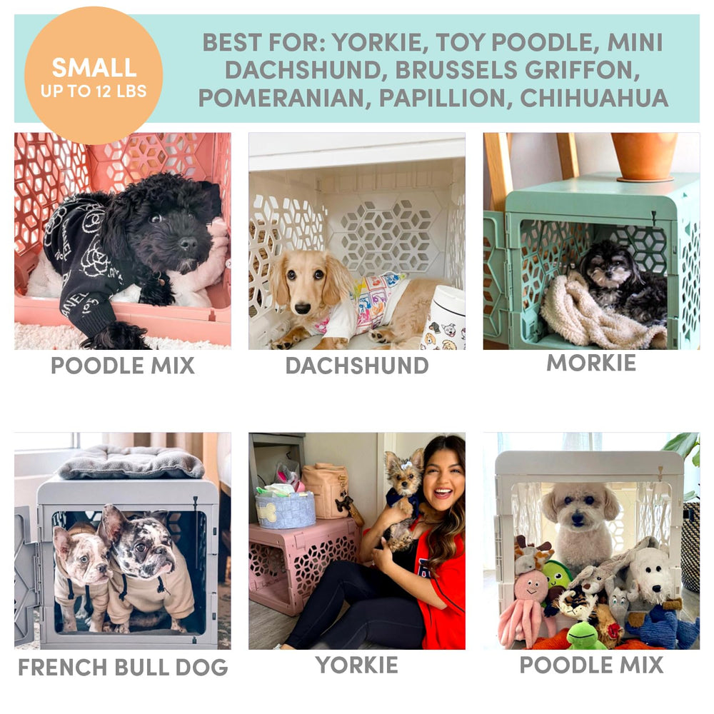KindTail PAWD: solution portable légère pour déplacements fréquents.