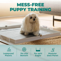 KindTail Pee PAWD bord élevé 1,5 pouces protège murs et sols
