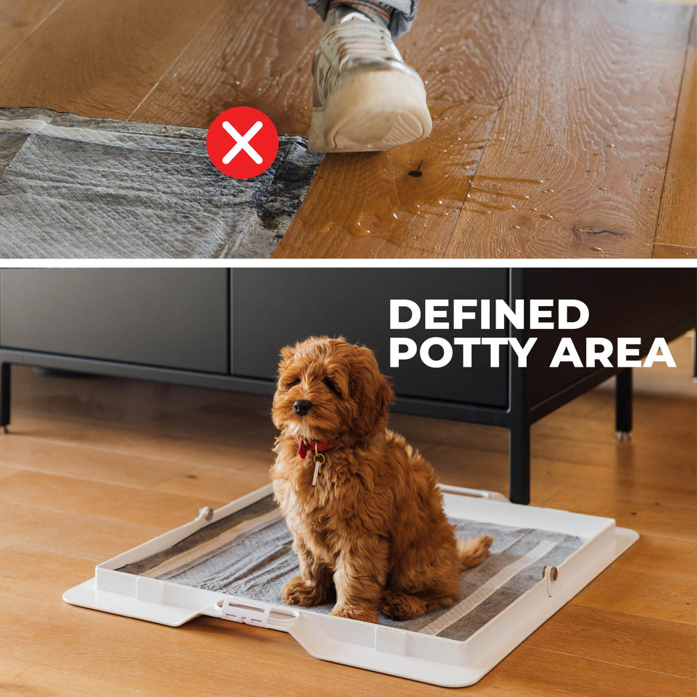 KindTail Pee PAWD bord haut anti souillage limite les éclaboussures
