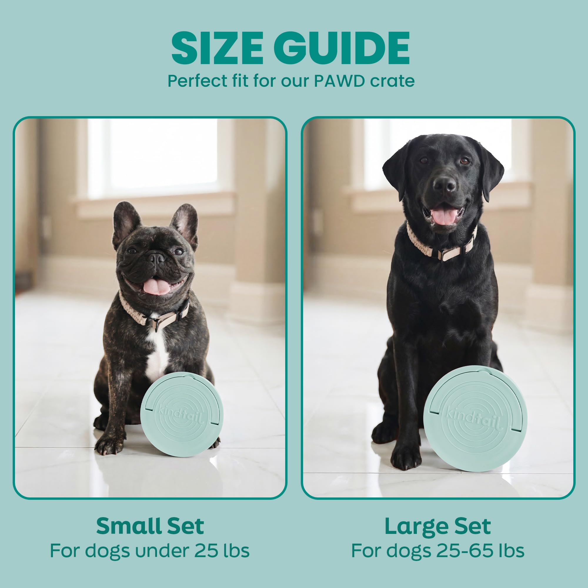 KindTail sans BPA et sans toxines pour la sécurité de votre animal.