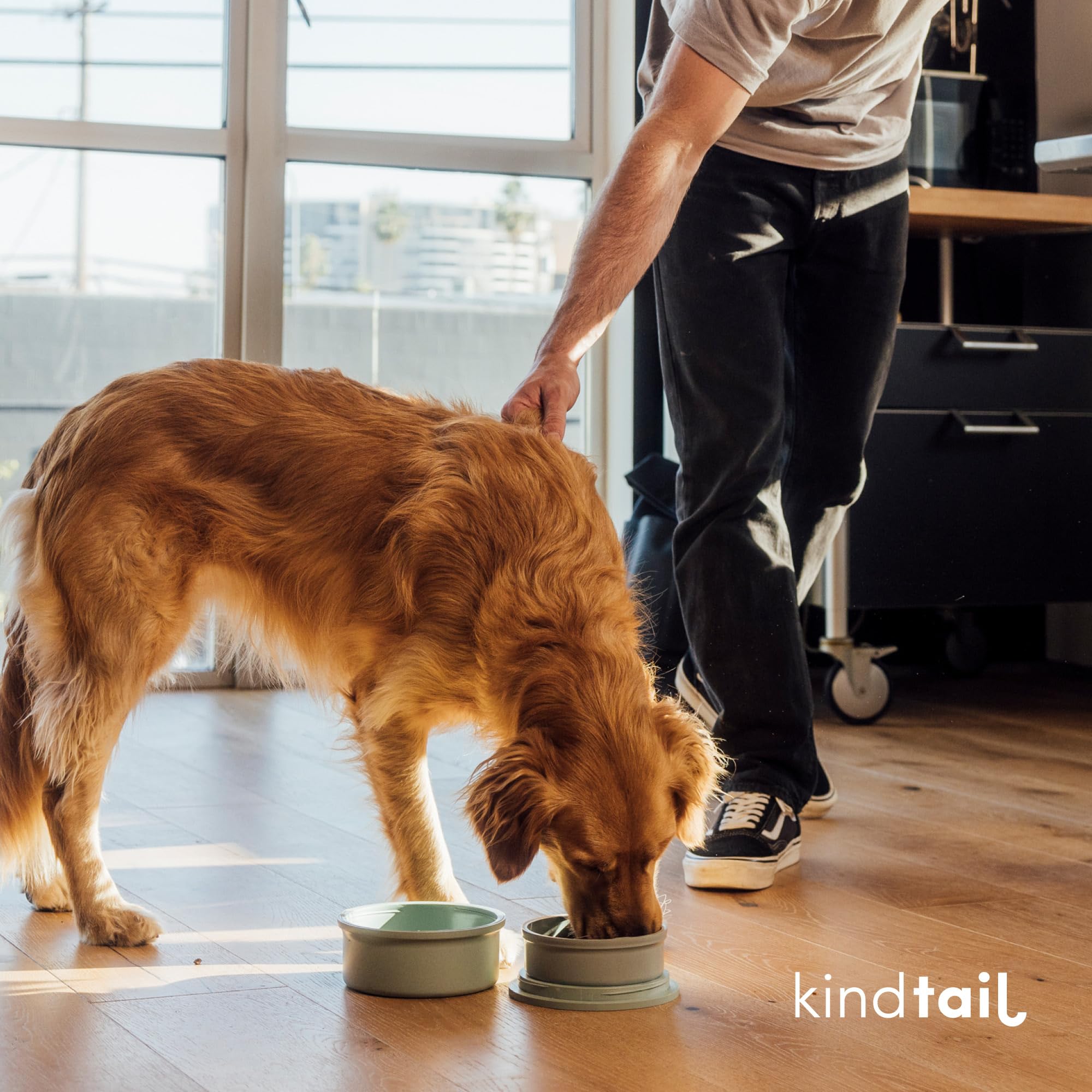 KindTail taille adaptée chiens 11 à 29 kg, transport facile