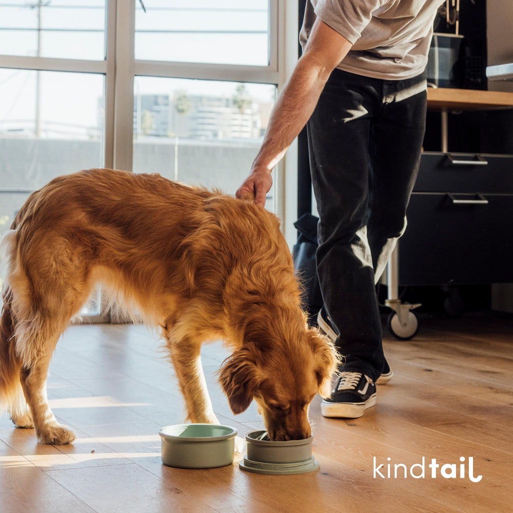 KindTail taille adaptée chiens 11 à 29 kg, transport facile