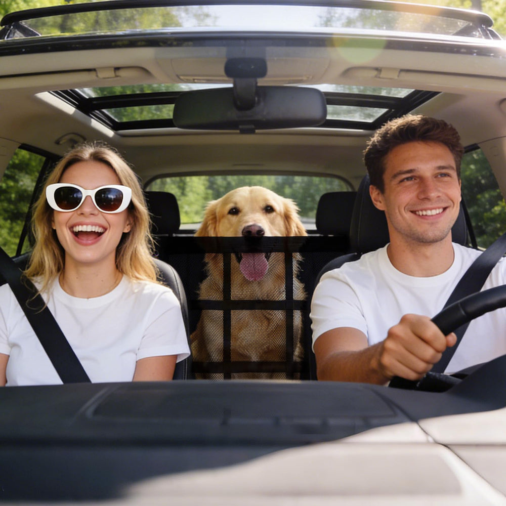 Confort et sécurité KinetoVolta: barrière chien voiture pour trajets sereins.