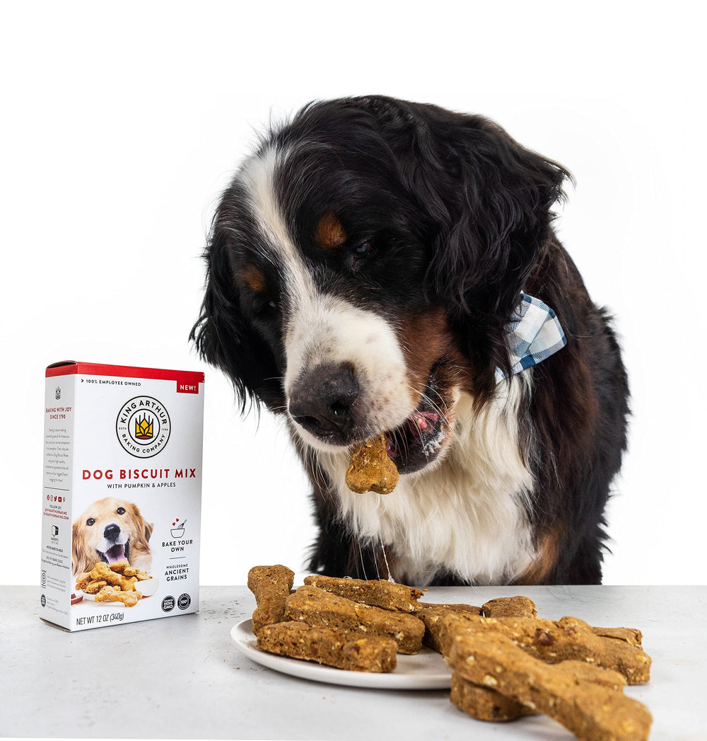 King Arthur Biscuits potiron-pomme chien — récompense maison pour votre chien