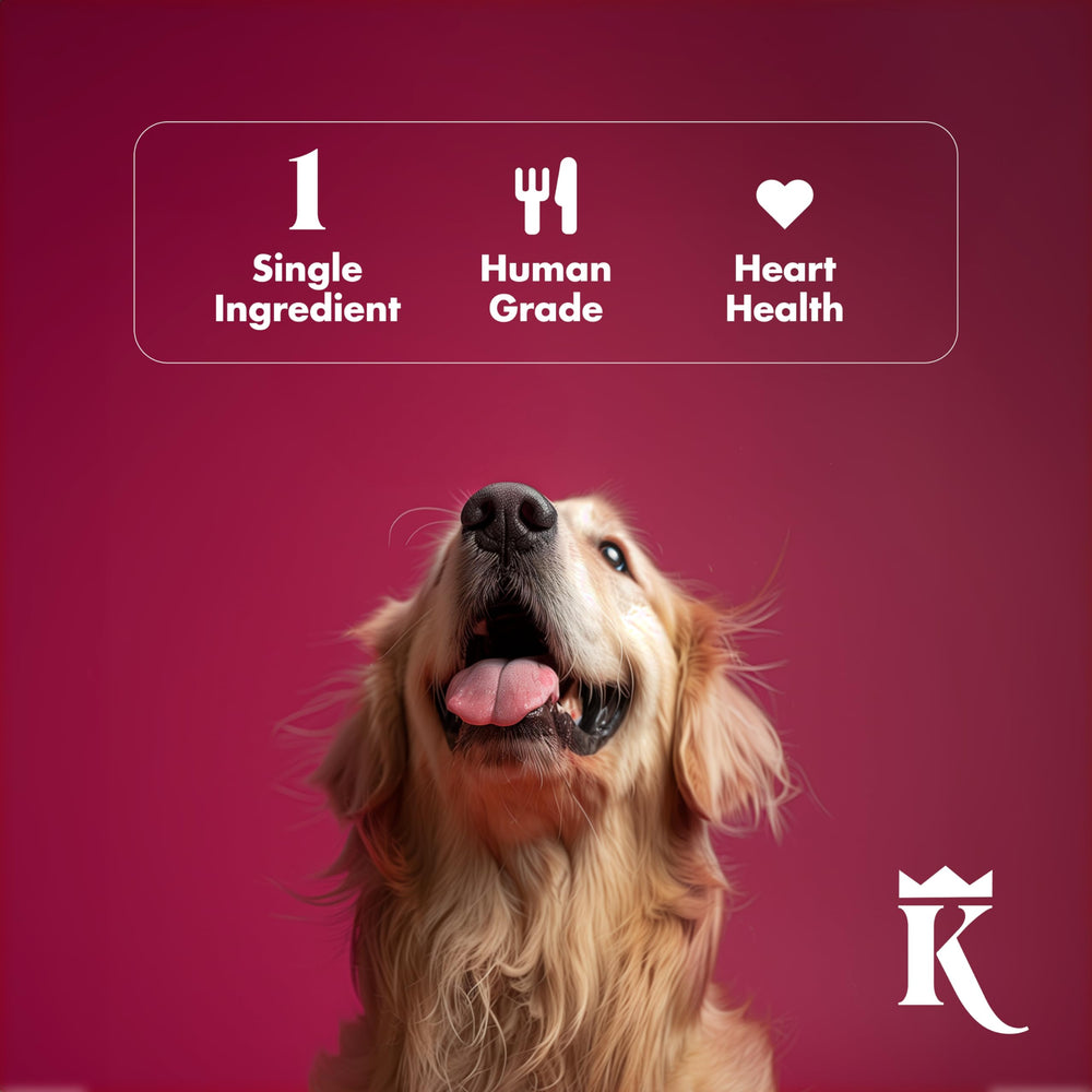 King Lou Pets: coeurs de poulet entiers séchés, snack savoureux pour chiens.