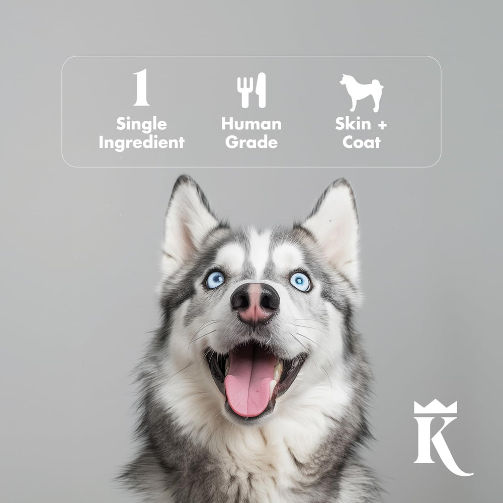King Lou Pets fabriqué aux États-Unis avec soin et responsabilité.