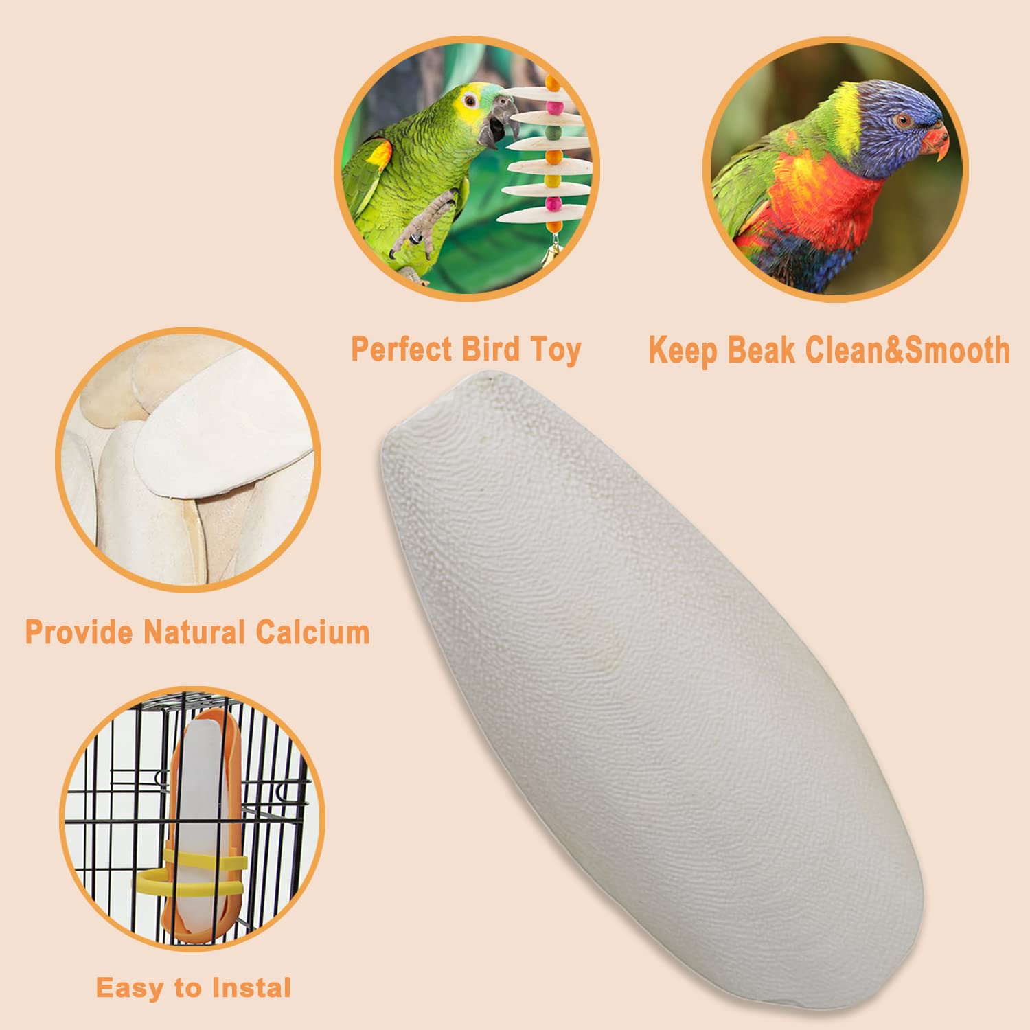 KINGMO os de seiche 15–16 cm, dimensions adaptées pour grandes cages.