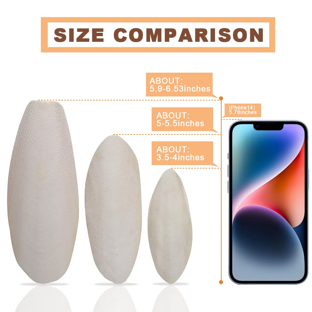 KINGMO utilisation en cage, facile à accrocher et nettoyer les débris.