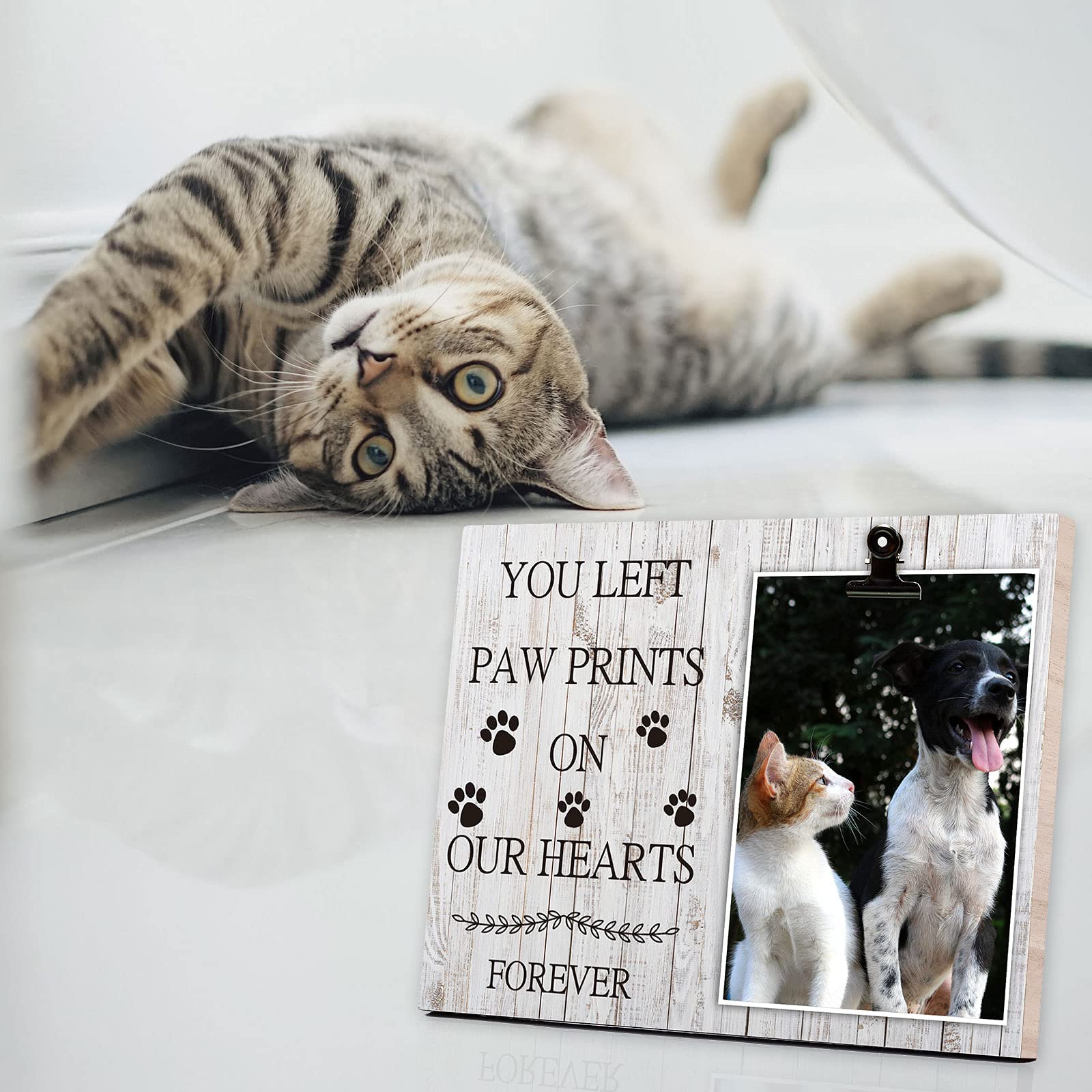 Texte gravé sur KINGNOW, cadre mémorial pour honorer votre animal.