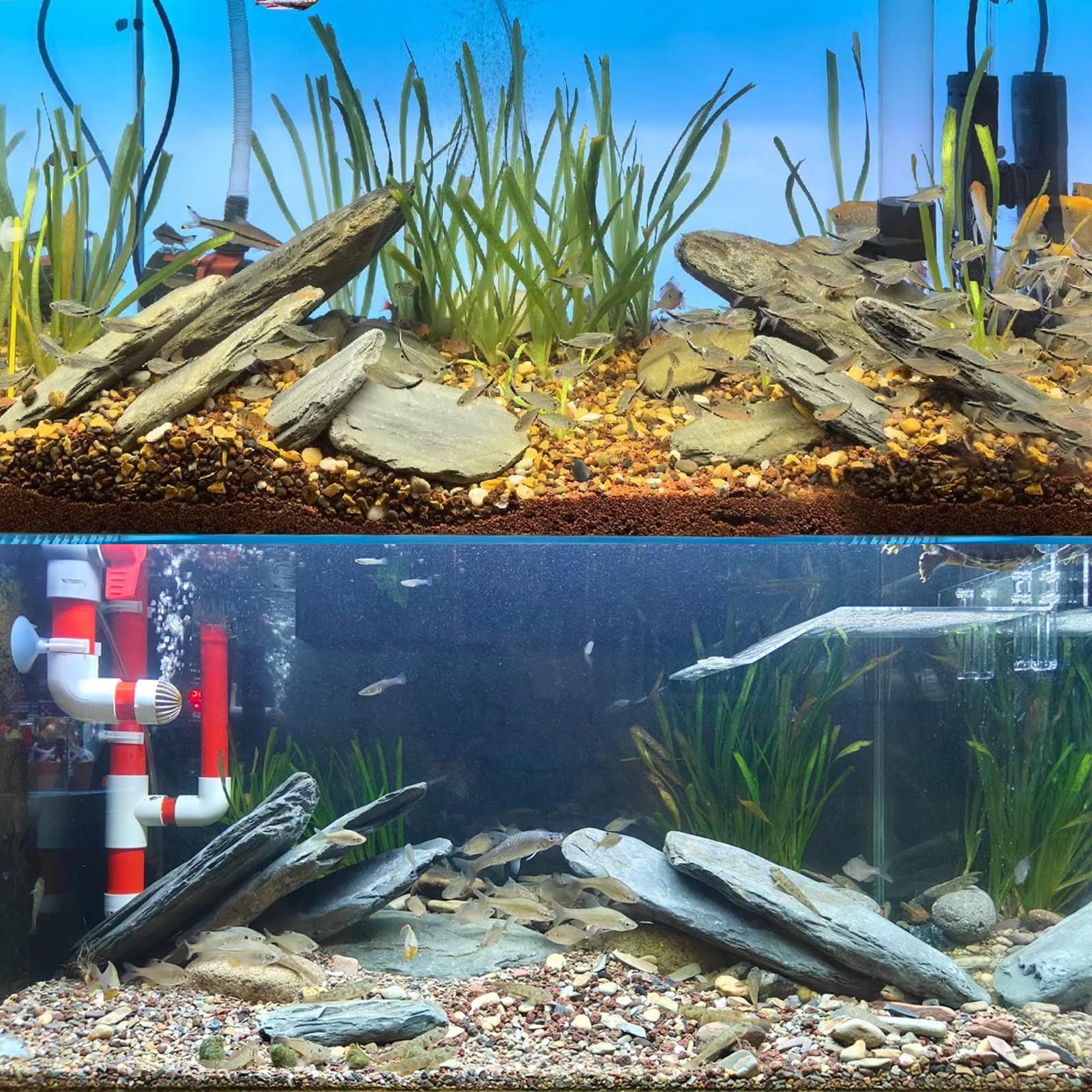 KINGRUI rochers d'ardoise formant cavernes et abris pour poissons et tortues
