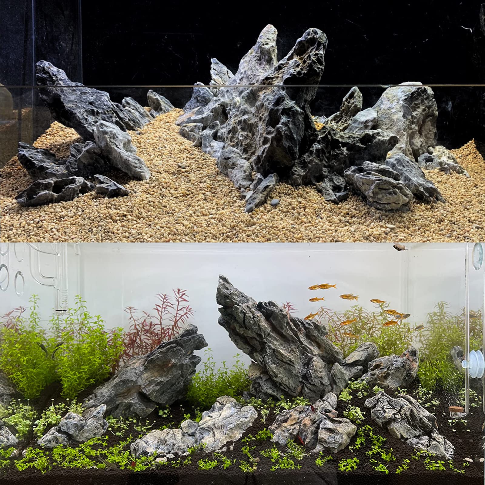 KINGRUI Pierre: décoration polyvalente pour aquarium, terrarium et jardin intérieur.