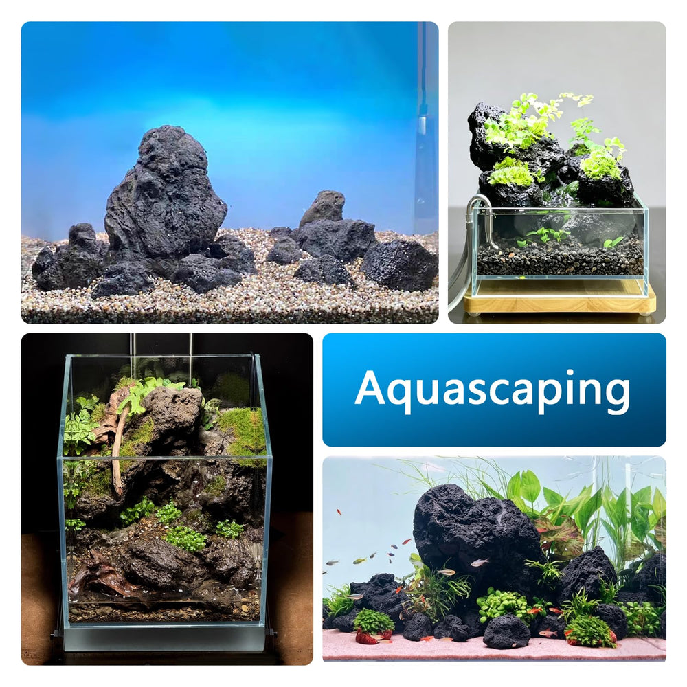 KingRUI roche volcanique noire – décor naturel pour aquarium et habitat des crevettes.