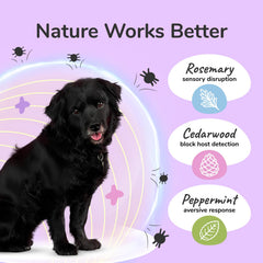 Kin+Kind formulation vétérinaire pour chien, équilibre et bien-être.