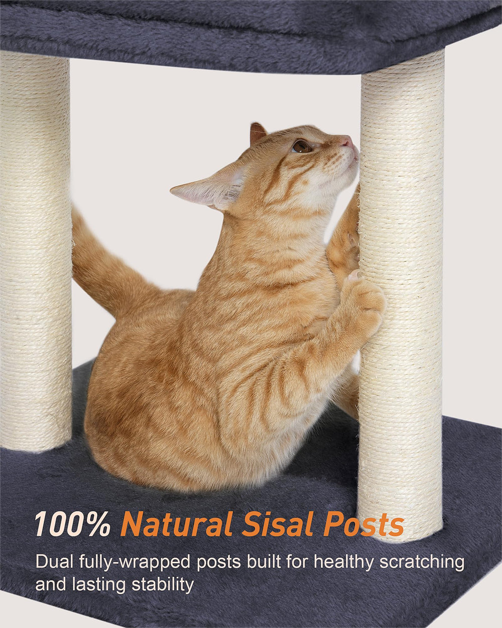 KinoTail arbre-chat base large et stable pour jeux vigoureux