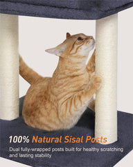 KinoTail arbre-chat base large et stable pour jeux vigoureux