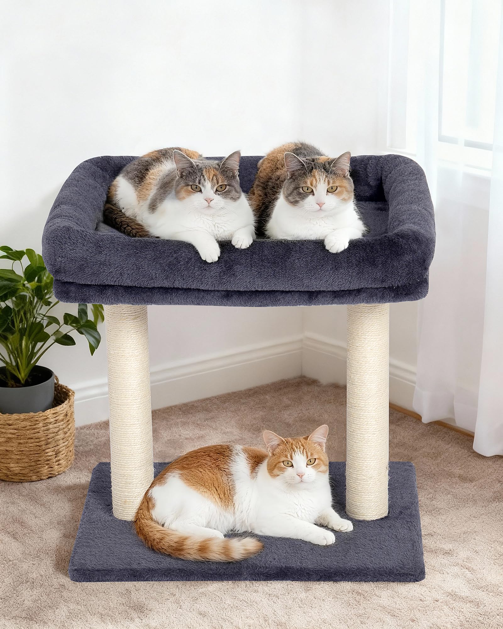KinoTail arbre-chat coloris gris foncé pour un look élégant