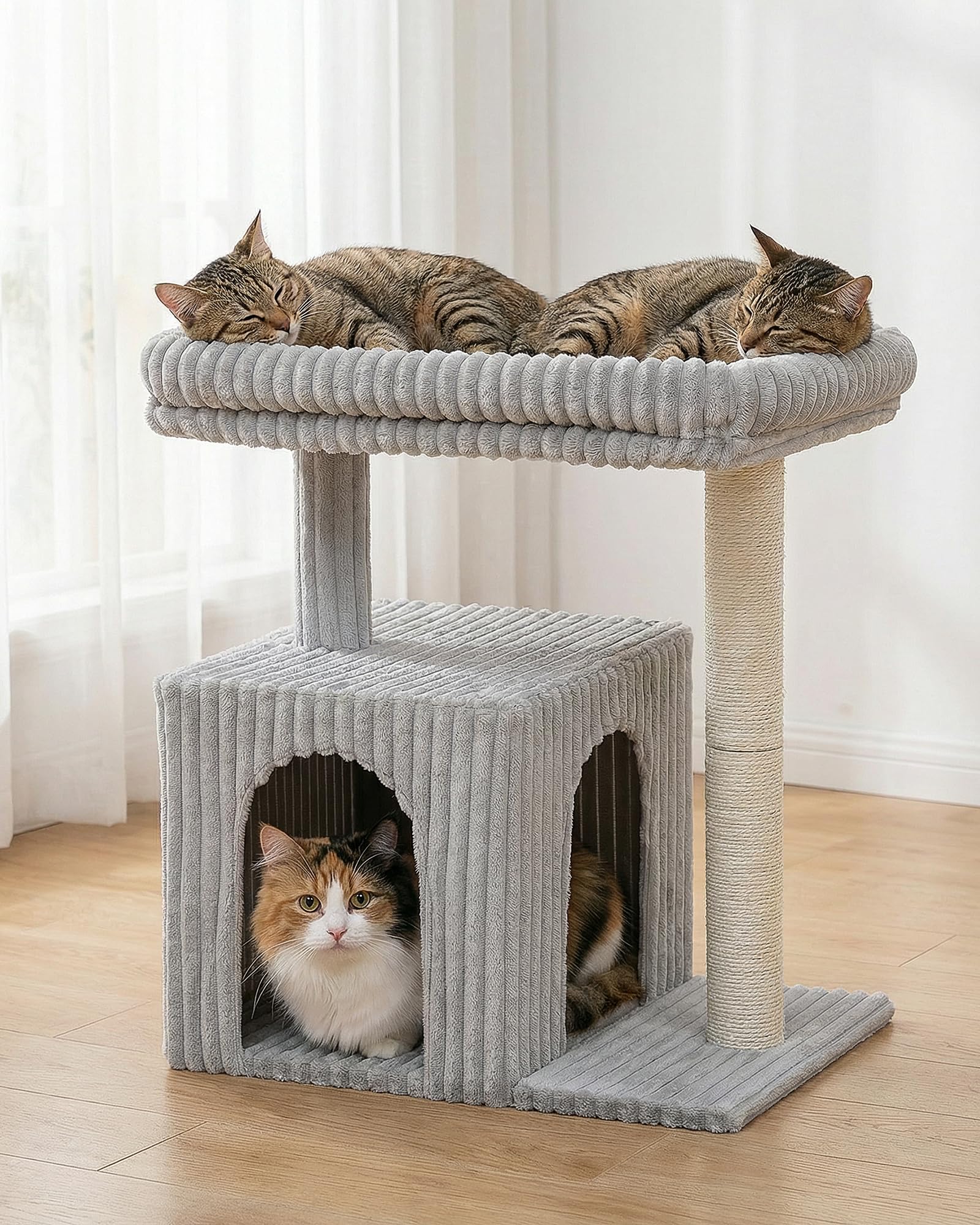 KinoTail dimensions 20,9 × 15,7 po pour chats adultes