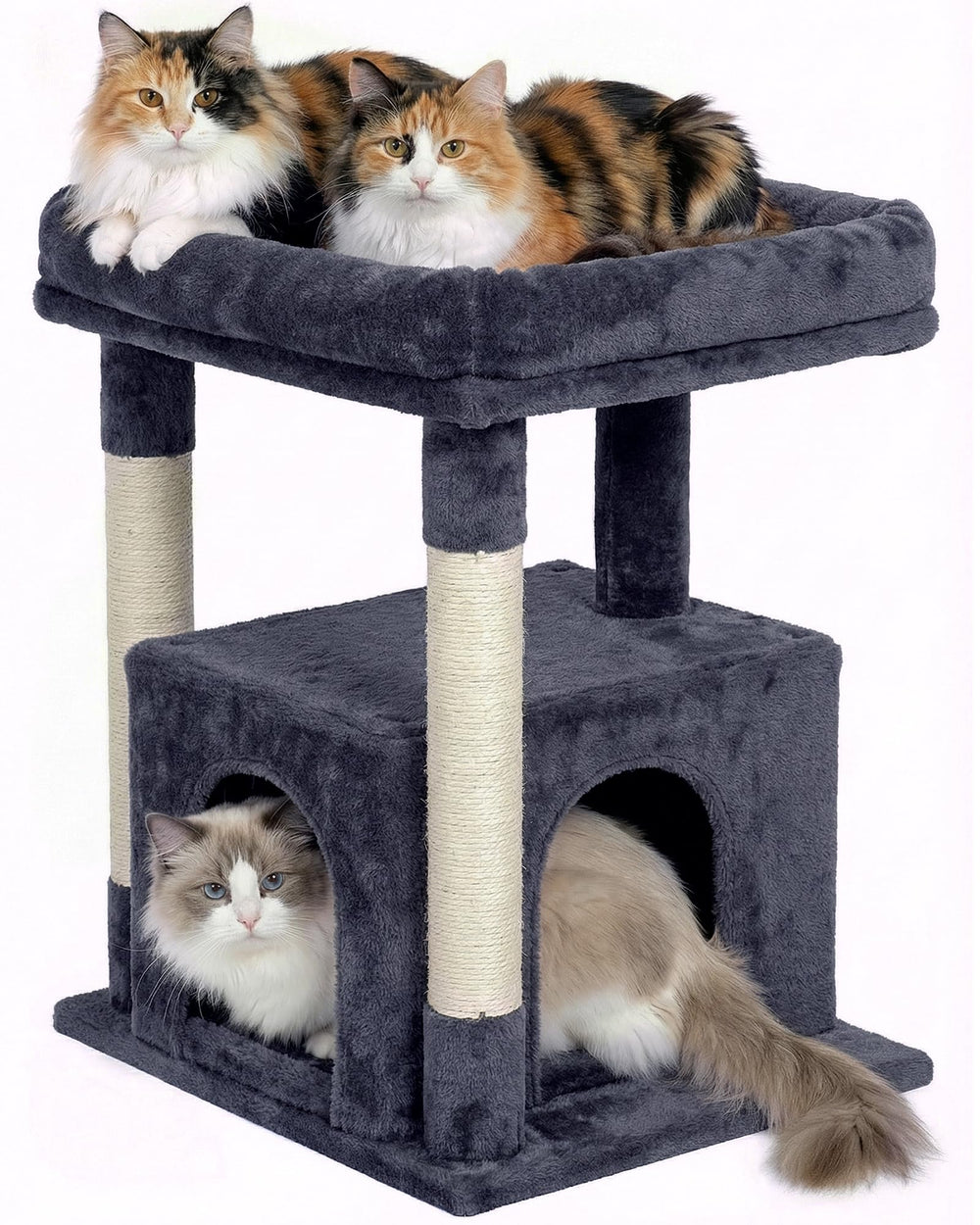 Kinotail arbre-chat grand perchoir 19x15, offre espace spacieux pour grands félins.