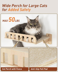 KinoTail condo mural tournant pour chat, arrangement personnalisable et pratique.