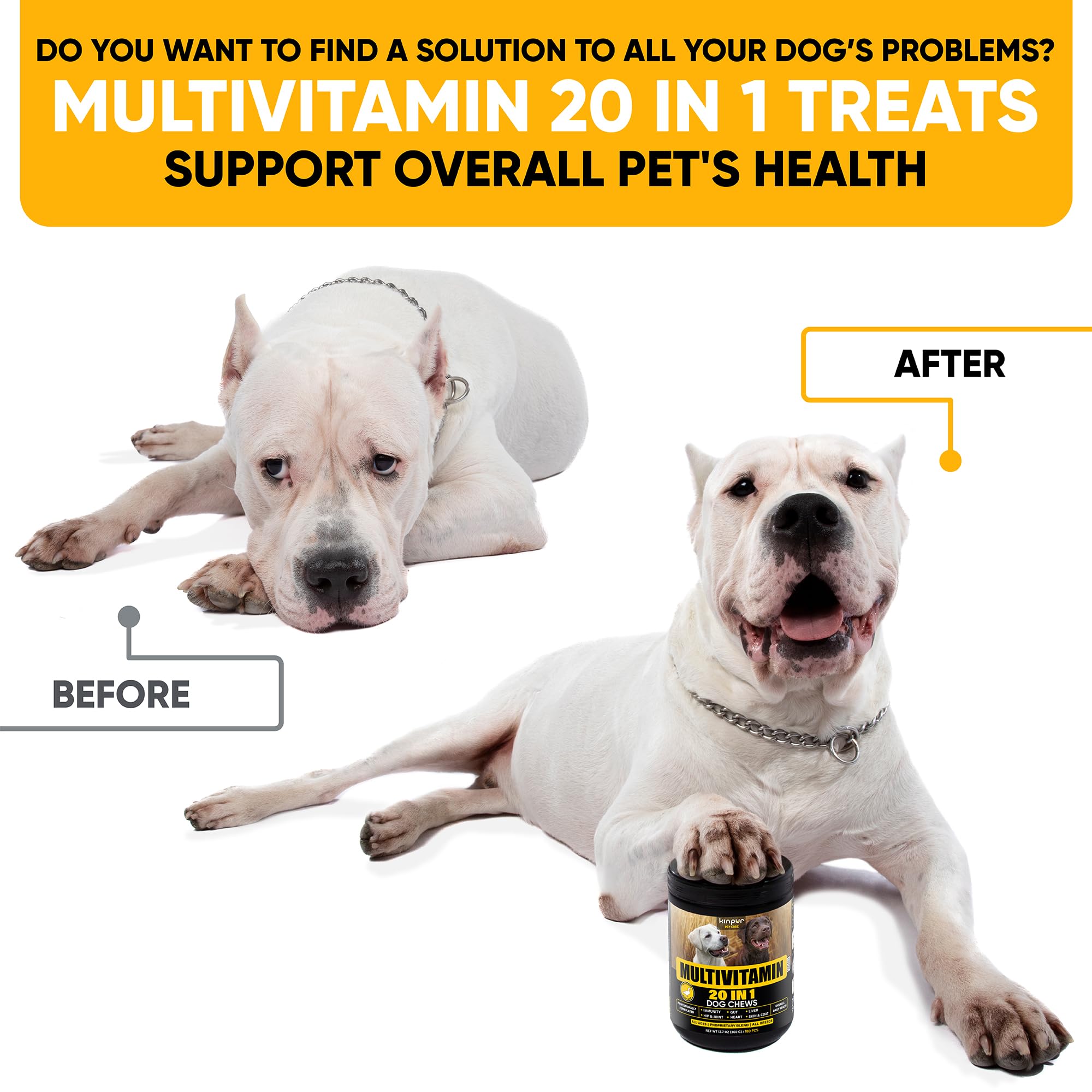 Kinpur Chien – bouchées multivitamines en gros plan, mobilité soutenue.