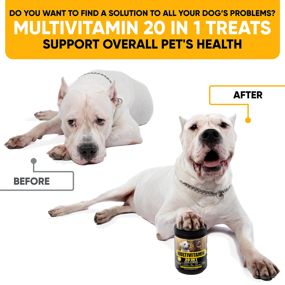 Kinpur Chien – bouchées multivitamines en gros plan, mobilité soutenue.