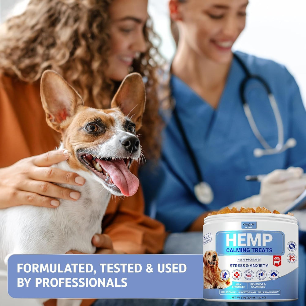 Kinpur Pet Care – chien détendu dans des situations stressantes comme les feux d’artifice.