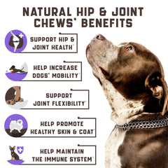 Kinpur Pet Care – chien qui mâche une friandise au canard et mobilité facilitée