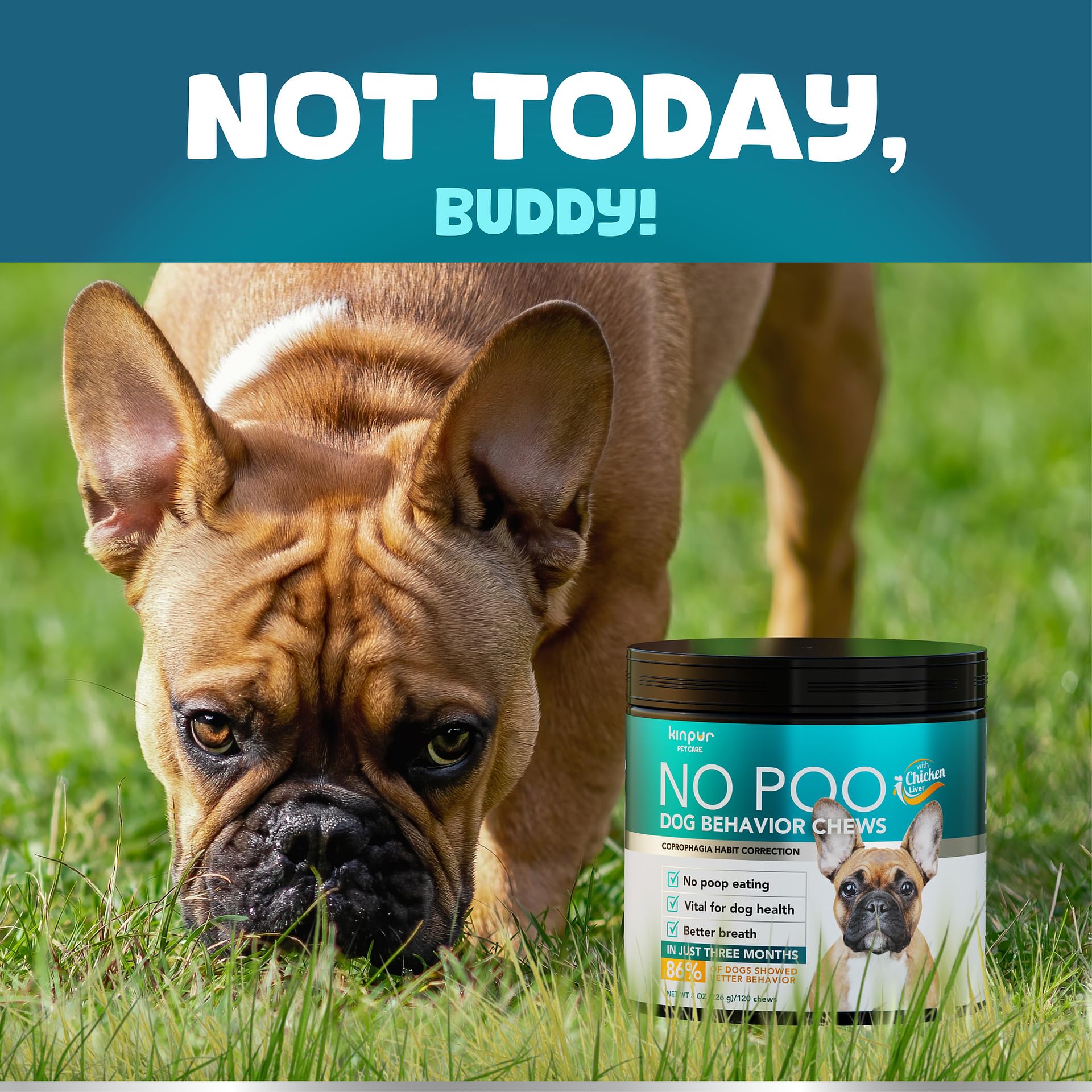 Kinpur Pet Care: friandises molles pour tous les chiens, texture attrayante et partage facile.