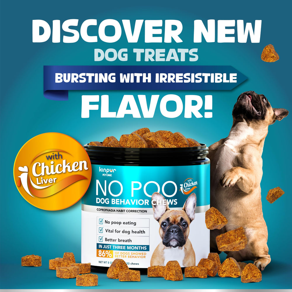 Kinpur Pet Care: friandises probiotiques et enzymes digestives pour digestion équilibrée du chien.