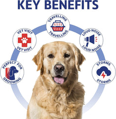 Kinpur Pet Care – mobilité améliorée lors des promenades grâce à ces bouchées.