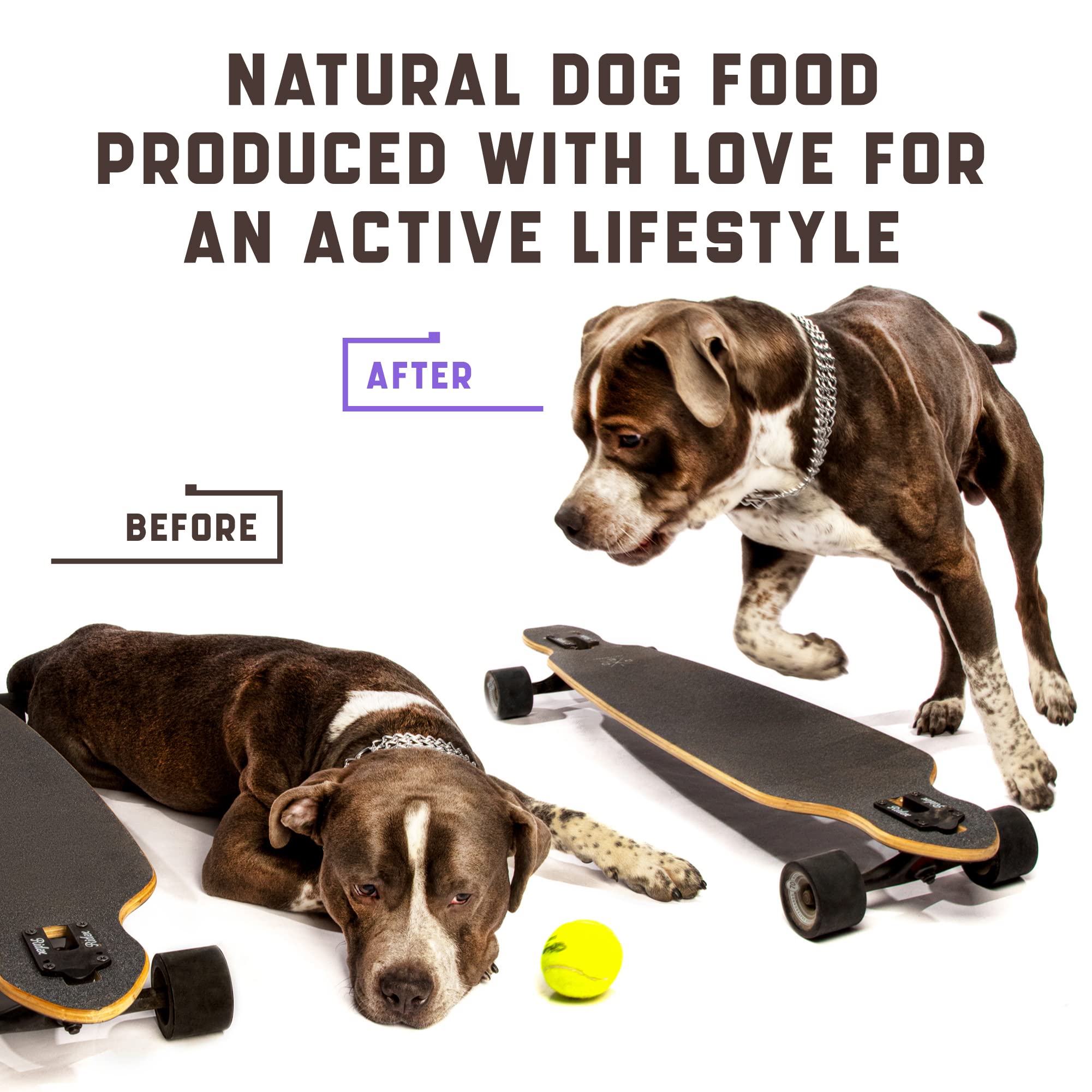 Kinpur Pet Care – promenade en extérieur, articulations souples