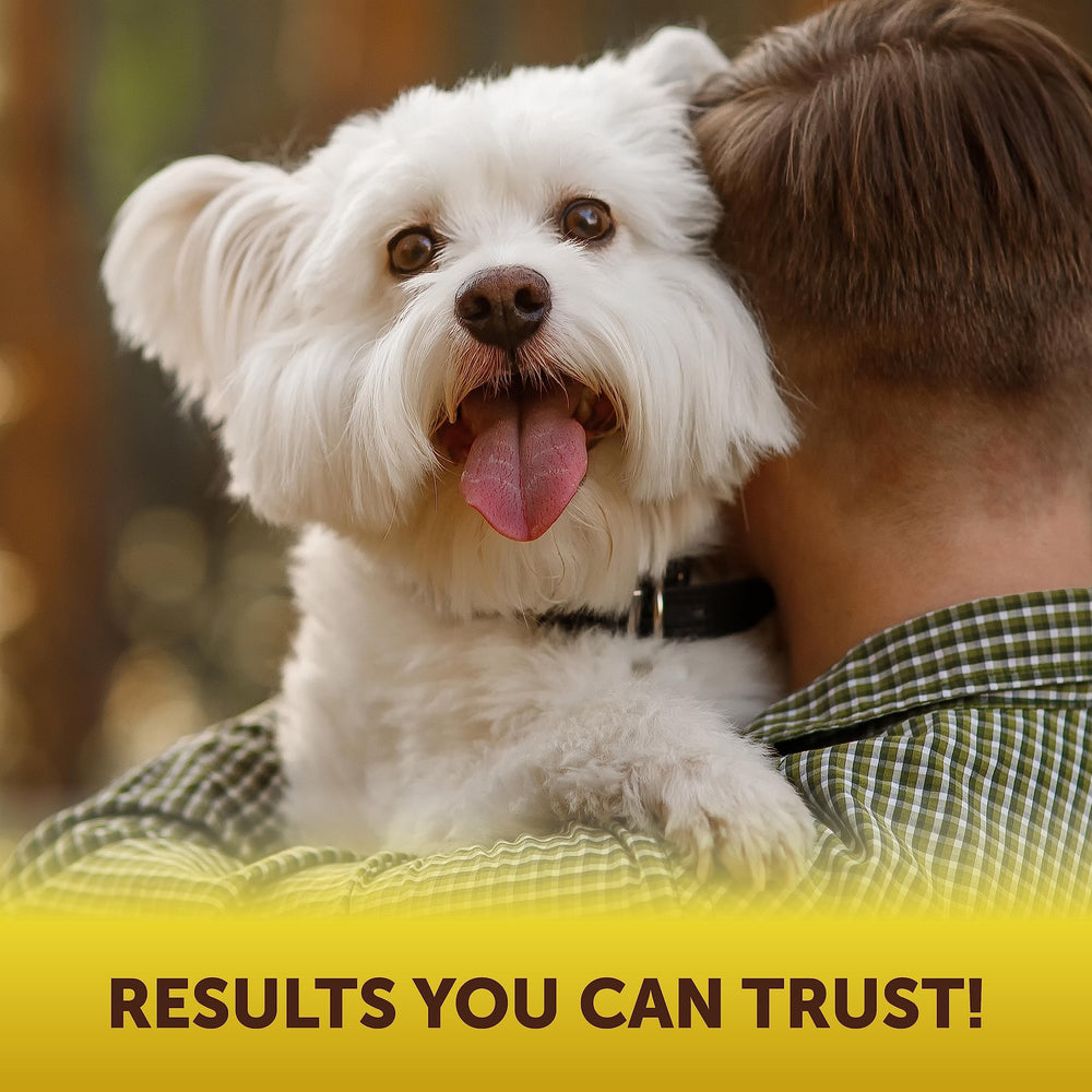 Utilisation quotidienne de Scoot Stopper, routine simple pour chien