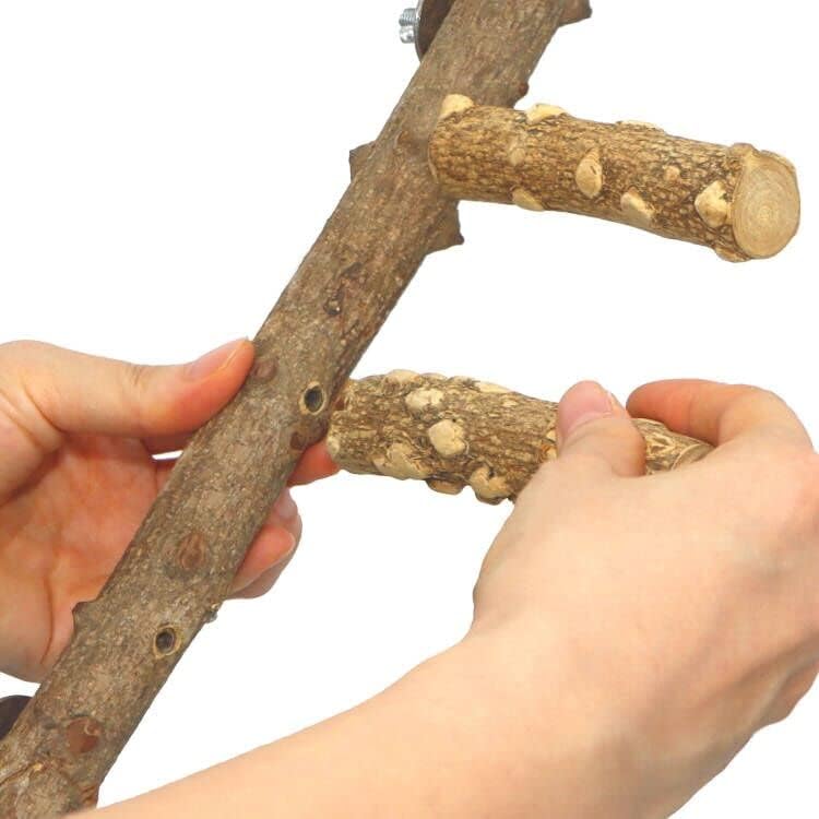 KINTOR branche mini 4 pouces, idéale pour petits oiseaux.