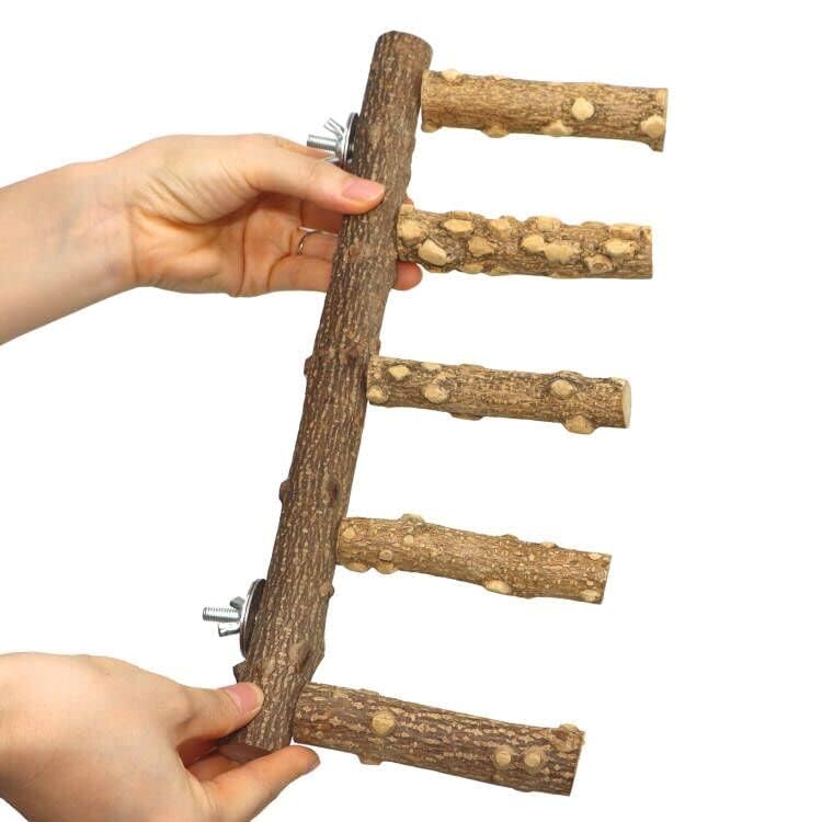 KINTOR perchoir bois naturel 12 pouces, adapté aux petites espèces.