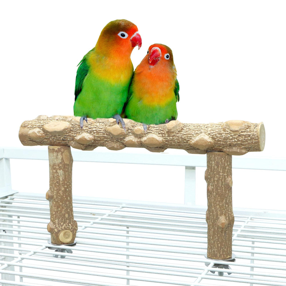 KINTOR perchoir en bois naturel pour petit perroquet, confort et adhérence naturelle.