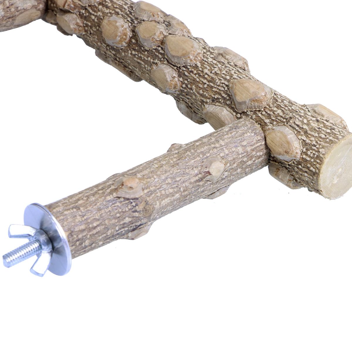 KINTOR perchoir taille extra-large, espace généreux pour plusieurs oiseaux.