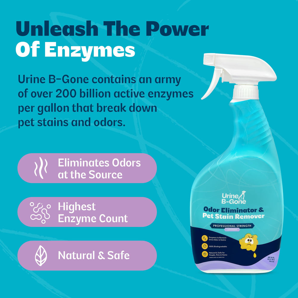 KinZua Urine B-Gone sûr pour animaux et enfants, utilisation domestique
