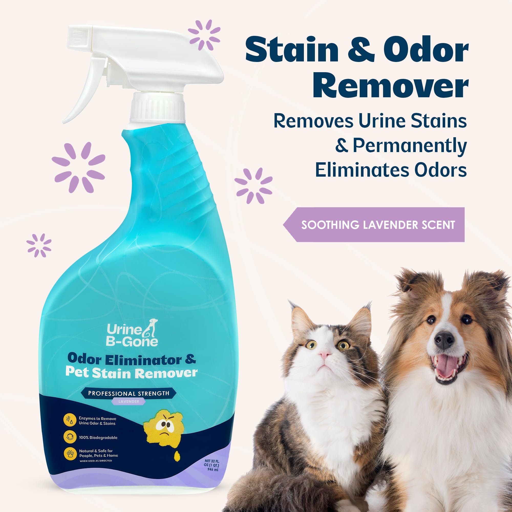 KinZua Urine B-Gone tache tapis profonde, action enzymatique ciblée