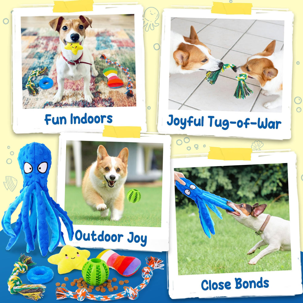 Kipritii: sacs pour chiens x2, pratique et propres lors des sorties.