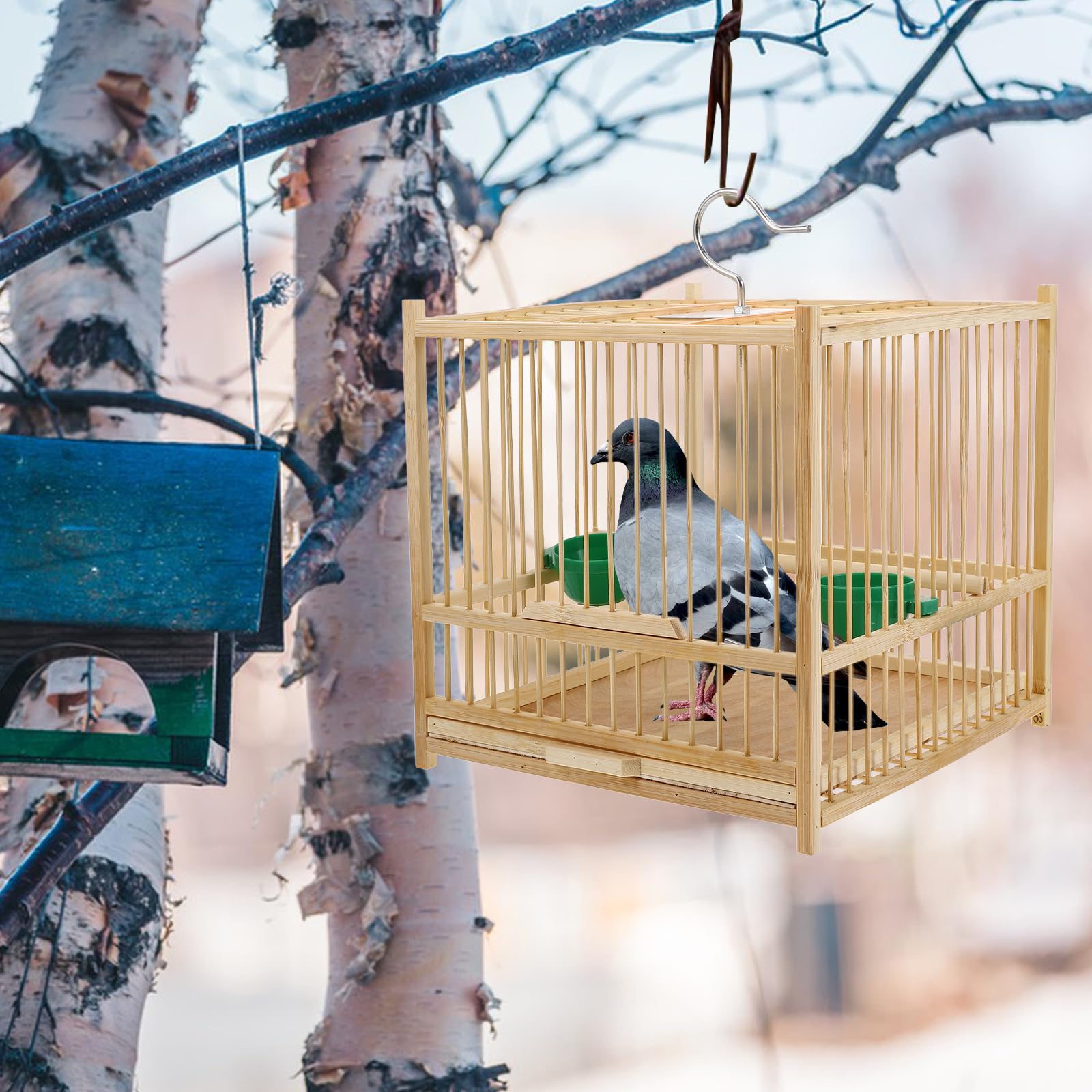 Convient pour petits oiseaux tels que perruches, avec espace pour repos et jeu.