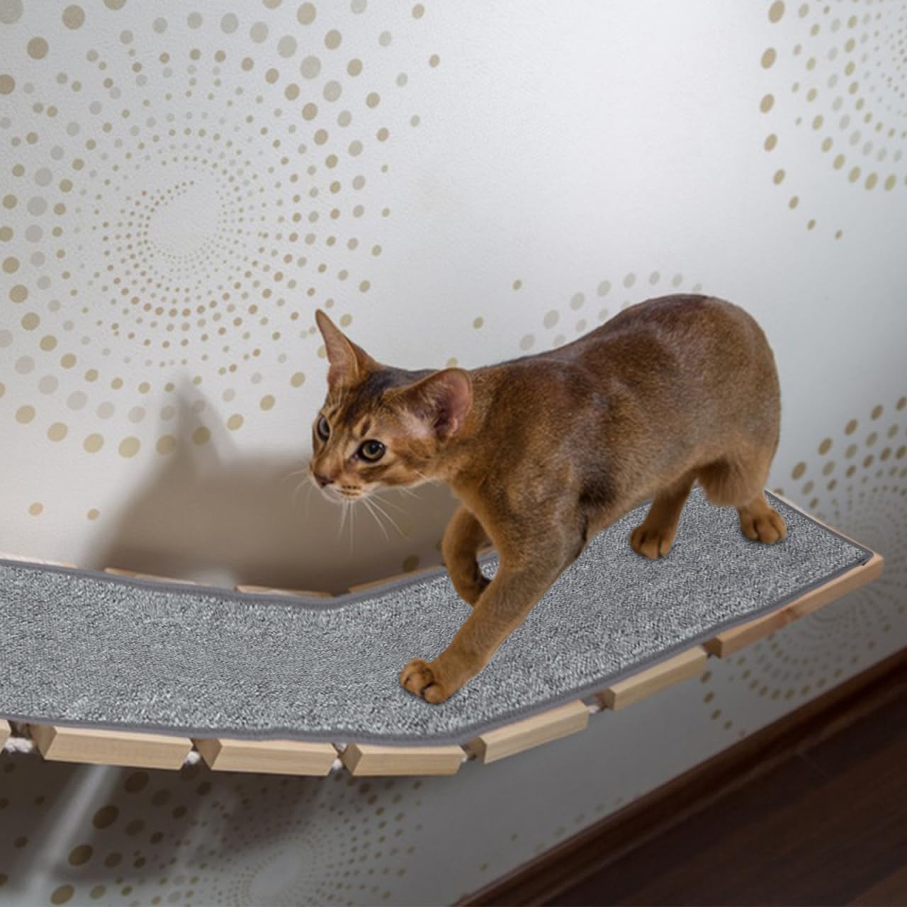 Kisangel Tapis-griffage durable, résistance aux griffures récurrentes
