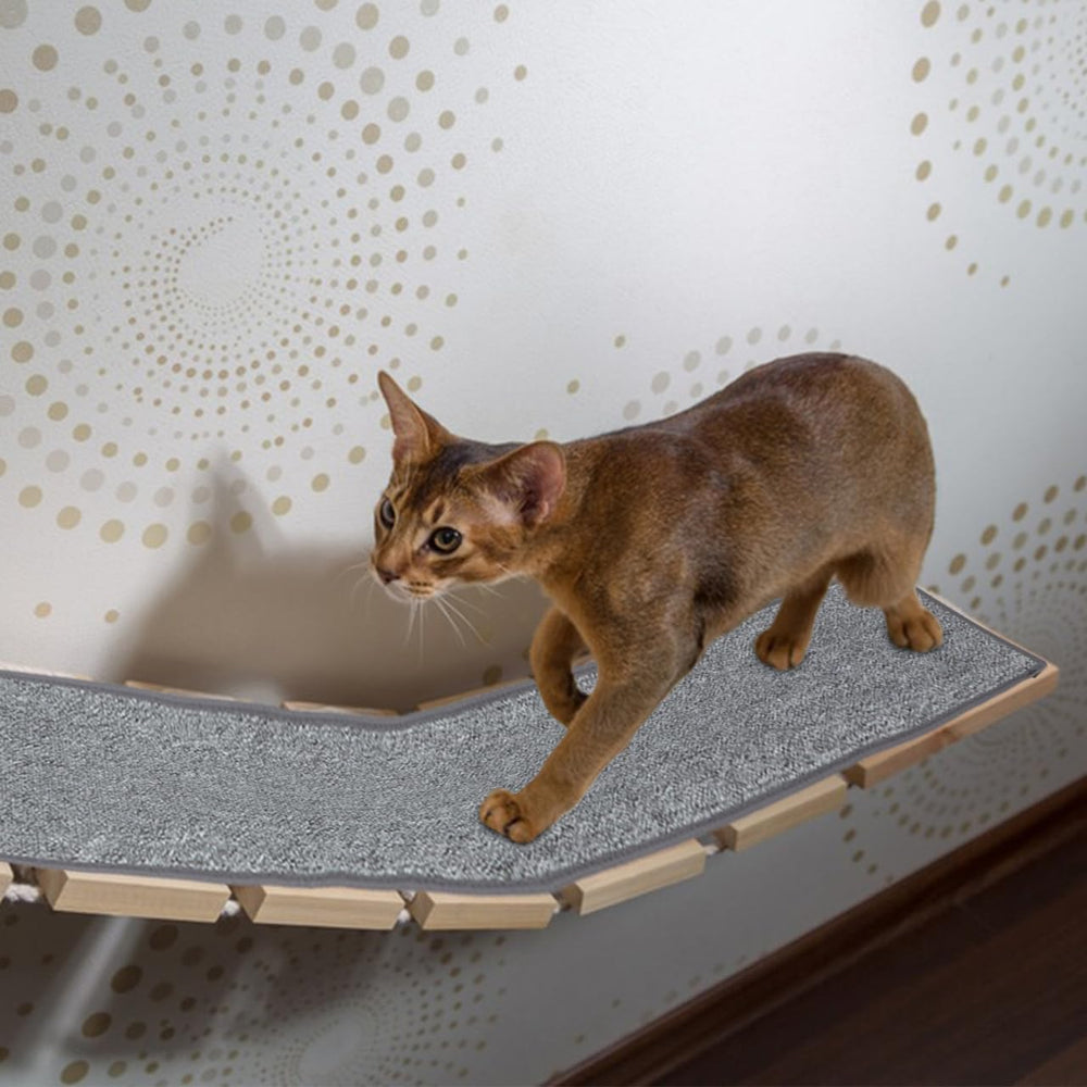 Kisangel Tapis-griffage durable, résistance aux griffures récurrentes