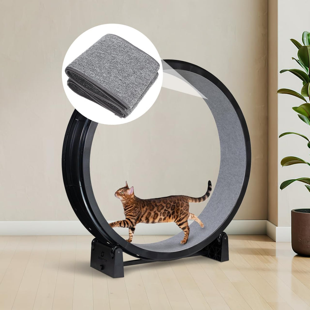 Kisangel Tapis intérieur loisirs, idéal pour jeux et étirements
