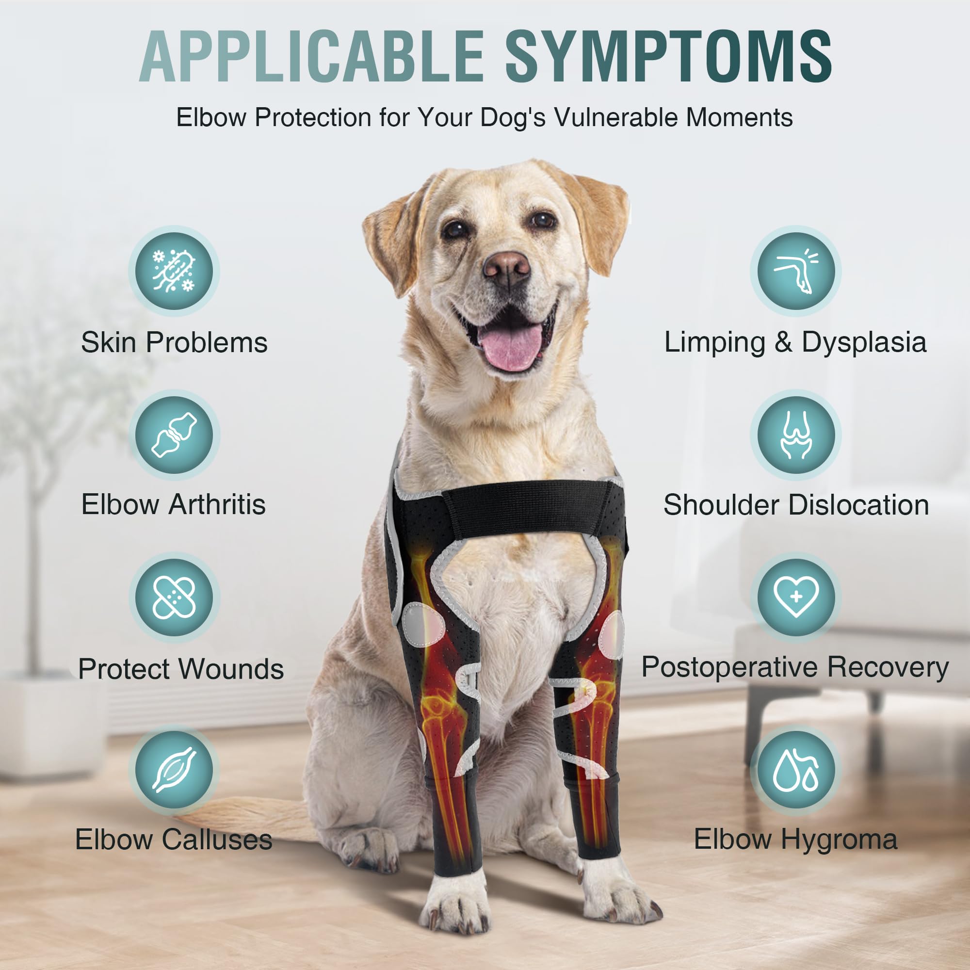 Brace pour patte avant du chien, respirant et maintien léger.